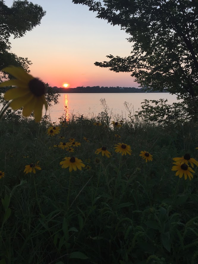 Sunset with Sunflower